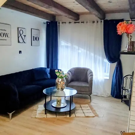 Maison Moderne A 20 Minute De Strasbourg *